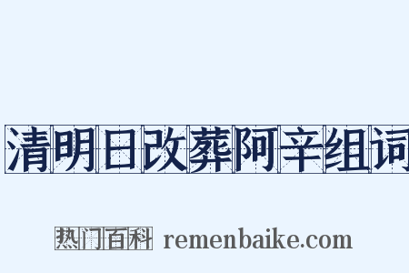 清明日改葬阿辛组词是什么意思的图片